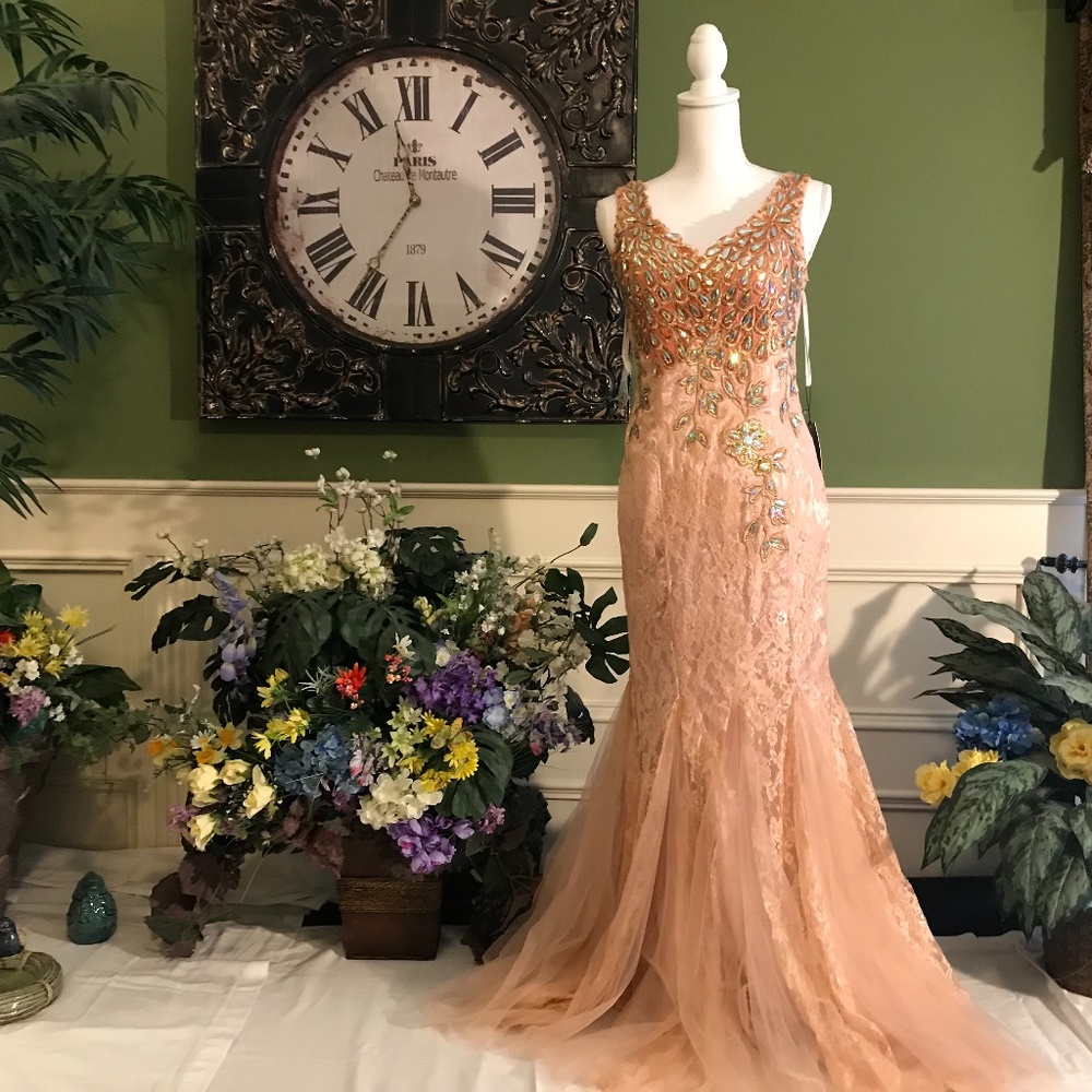 Formal evening gown mermaid Prom dress